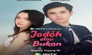 5 Fakta Series Jodoh atau Bukan Tayang di WeTV Dibintangi Rayn Wijaya dan Megan Domani Mulai 13 Januari 2023