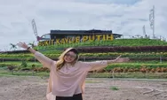 'Bukit Kayu Putih' Tempat  Wisata Hits Di Mojokerto, Panorama Kayu Putihnya Bikin Betah dan Nyaman