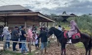 Edukasi Sekaligus Tambah Pengetahuan, Yuk Ajak Anak ke Destinasi Wisata Perkebunan Kurma Barbate di Aceh!