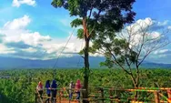 7 Destinasi Wisata Terpopuler 2023 di Banyuwangi Bikin Nagih Foto Instagramable, Buruan Kunjungi!