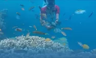 Destinasi Wisata Banyuwangi yang Buat Kamu Ketagihan, Bangsring Underwater Rekomendasinya!