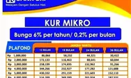Ini Dia KUR BRI 2023 yang Akan Segera Dibuka Beserta Syarat dan Ketentuan Agar Cepat Cair