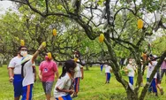 Taman Wisata Mekarsari: Nikmati Keindahan Buah-buahan dan Aktivitas Seru di Bogor