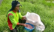Alokasi Pupuk Urea Subsidi di Kendal Ditambah tetapi Jatah Petani Sama