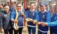 Sekda Palembang Dipaksa Foto dengan Ular
