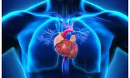 7 Fakta Penting Tentang Jantung Yang Harus Diketahui