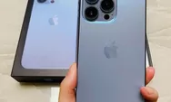 WOW! Punya Iphone dan Smartphone Mahal Kini Wajib Dilaporkan ke SPT Tahunan? Mengapa? Begini Caranya