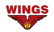Daftar Loker Wings Group Gaji Rp4 Juta Lulusan SMA, SMK  hingga S1 Merapat!