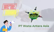 Loker dari PT Wana Antara Asia Gaji Rp8Juta, Masih Banyak Keuntungan Lain!