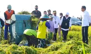 Joko Widodo Instruksikan Bulog Serap Gabah dari Petani Sebanyak-banyaknya. Harganya?