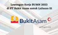Lowongan Kerja BUMN 2023 di PT Bukit Asam untuk Lulusan S1, Gaji Rp4 Juta sampai Rp7 Juta Lebih