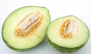 Manfaat Buah Melon untuk Kesehatan: Meningkatkan Sistem Kekebalan Tubuh hingga Membantu Menurunkan Berat Badan