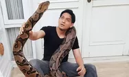 Lucky Hakim sangat suka dengan ular, sampai dirinya ternyata dicintai oleh siluman ular