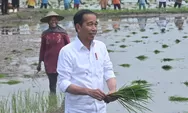 Tanam padi di Tuban, Jokowi minta petani gunakan pupuk organik