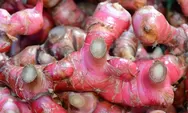 5 Manfaat Jahe Merah untuk Kesehatan, Meredakan Nyeri hingga Mengatasi Mual dan Muntah