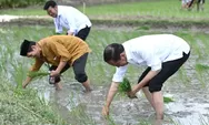 Tanam Padi Bersama Petani, Presiden Minta Pemakaian Pupuk Organik Dikembangkan