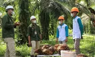 Lowongan kerja (loker) PT Astra Agro Lestari April 2023, simak syarat dan cara daftar 3 posisi yang ditawarkan