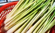 Manfaat sereh tidak hanya sebagai bumbu dapur,  juga untuk kesehatan tubuh bisa atasi masalah gigi dan mulut