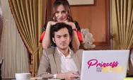 Selain Rizky Nazar dan Syifa Hadju, Berikut Daftar Para Pemain Serial 'Princess and The Boss'