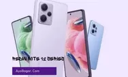 Perbedaan Redmi Note 12 5G Note 12 Pro Note 12 Pro+ dan Note 12 Explorer, Lebih Unggul Mana?