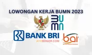 3 Lowongan Kerja BUMN Terbaru Mei 2023 Mulai dari Bank BRI hingga PT Borneo Alumina Indonesia
