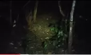 Youtuber ini lakukan penelusuran masuk hutan dekat lokasi Darel hilang,  melihat anak kecil lewat dan menangis