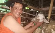 Heboh ! Tukang Angon Kambing di Pemalang Calon Anggota DPRD Provinsi Jawa Tengah