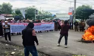 Aksi Demo Gema Paluta di Kantor Bupati Sempat Bentrok, Massa Tuntut Ini 