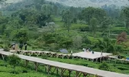 Rekomendasi Tempat Wisata Baru di Puncak Bogor Viral, HTM Rp10 Ribu