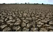 Fenomena El Nino Diperkirakan Tiba di Indonesia Agustus, Seperti Apa itu? Ini Penjelesannya