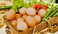 Tips Mengatasi Kenaikan Harga Telur di Pasaran Yang Kian Melambung