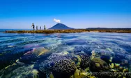 Keindahan Taman Nasional di Indonesia: Melihat Pesona Alam yang Mengagumkan