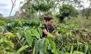 Sebagian Besar Wilayah Dipenuhi Sektor Pertanian, Haryanto Sebut Perlunya Mengubah Mindset Petani