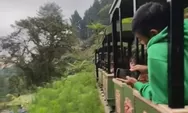 Jadi Unggulan Wisata, Kembanglangit Park Menambah Wahana Forest Train