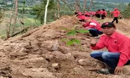 Bersama Jaga Kelestarian Alam, Kader Banteng PDIP Taput Tanami Lereng Dolok Imun