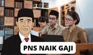 Selamat! Gaji PNS tahun 2024 akan dinaikkan oleh Jokowi, Sri Mulyani: Diumumkan 16 Agustus oleh Presiden
