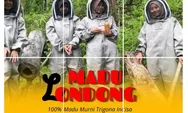 LPHD Limbong Dewata dan KPH Rongkong Produksi Madu Trigona Terbaik, Namanya Madu Londong