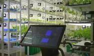 Inovasi Teknologi dalam Pertanian: Pertanian Vertical, Sensor Pemantauan Tanaman, dan Pertanian Presisi