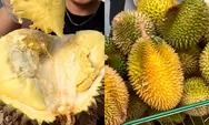 Makan Durian All You Can Eat di Bogor Harga Ramah di Kantong Makan Sepuasnya di Durian Keliling Indonesia