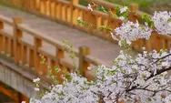 SUGOI! Tempat Wisata Serba Jepang di Sentul Bogor, Berasa Lagi di Negeri Sakura