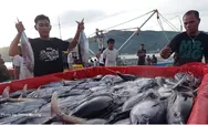 Nelayan Semakin Minati Resi Gudang Komoditas Ikan, Peningkatan Registrasi Signifikan