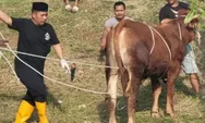 Cara Menyembelih Hewan Kurban yang Halal dan Sehat, Wajib Diketahui Juru Sembelih saat Idul Adha 2023