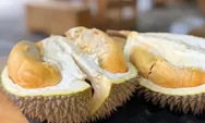 RECOMMENDED! Dari Lokal hingga Montong, Tempat Makan Durian di Semarang Wajib Coba