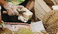Pecinta Durian? Wajib Banget Kunjungi Tempat Makan Durian di Bintaro Ini, Dijamin Betah!