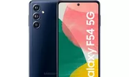 Bocoran Spesifikasi dan Harga Samsung Galaxy F54 5G, Dibekali Ram 8 Gb dan Kamera 108 MP