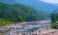 Catat! Destinasi Wisata Alam Bogor Weekend Ini, Cocok ke Sungai Cipamingkis Bareng Anak dan Istri