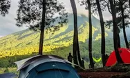3 Tempat Camping di Bogor yang Lagi Hits 2023 Dekat Sungai, Stok Air Aman