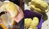 Tempat Makan Durian Jogja Montok-montok, Harganya Murah-meriah 3 Buah Cuma Rp100 Ribuan, Cus Cobain Guys!