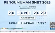 Link Akses Pengumuman UTBK SNBT 2023 Disini, Apabila Kamu Lolos Maka Akan Muncul Data INI