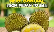 Wisata Kuliner House of Durian Bali, Rekomendasi untuk Durian Lovers!